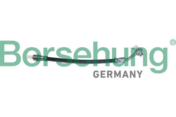 Тормозные шланги BORSEHUNG B10949