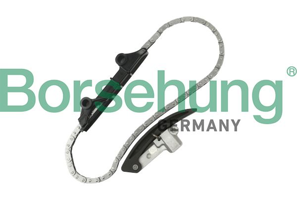 Приводний ланцюг оливного насоса BORSEHUNG B10209 - zapix