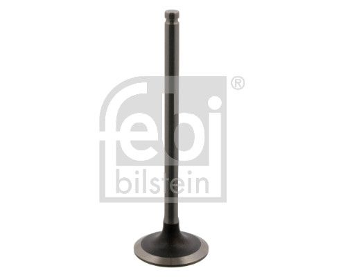 Впускний клапан FEBI BILSTEIN 34385 - zapix