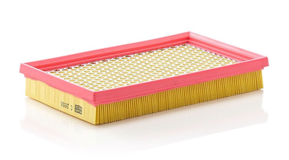 Повітряний фільтр MANN-FILTER C2656 - zapix