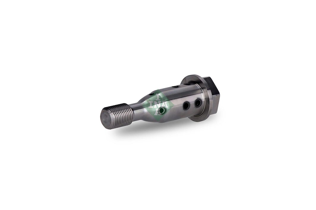 Клапан регулятор фаз газорозподілу SCHAEFFLER INA 427002110 - zapix