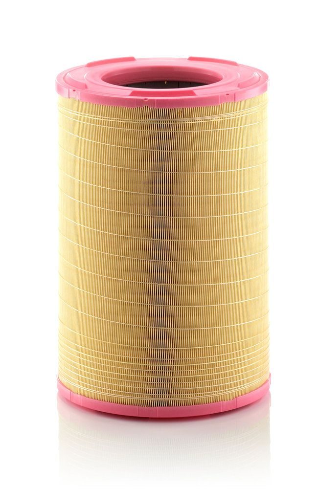 Повітряний фільтр MANN-FILTER C3012401 - zapix