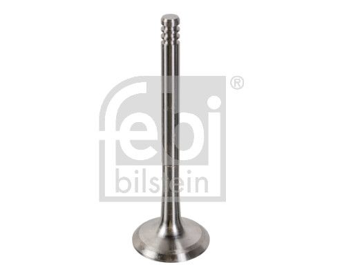 Випускний клапан FEBI BILSTEIN 19998 - zapix