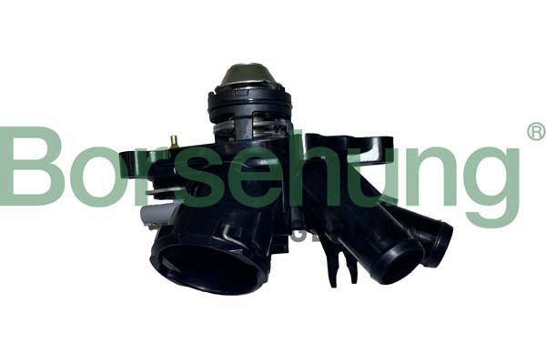 Термостат BORSEHUNG B10557 - zapix