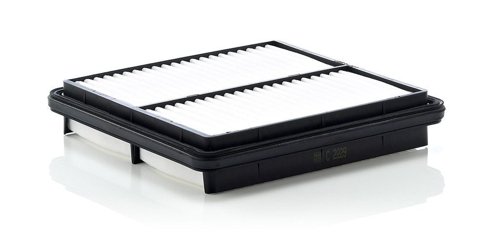 Повітряний фільтр MANN-FILTER C2229 - zapix