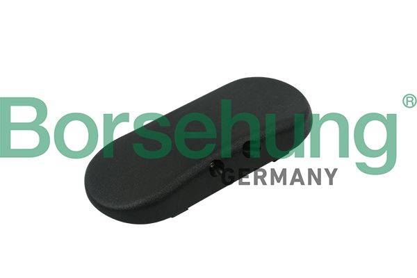 Форсунка омивача скла BORSEHUNG B18496 - zapix