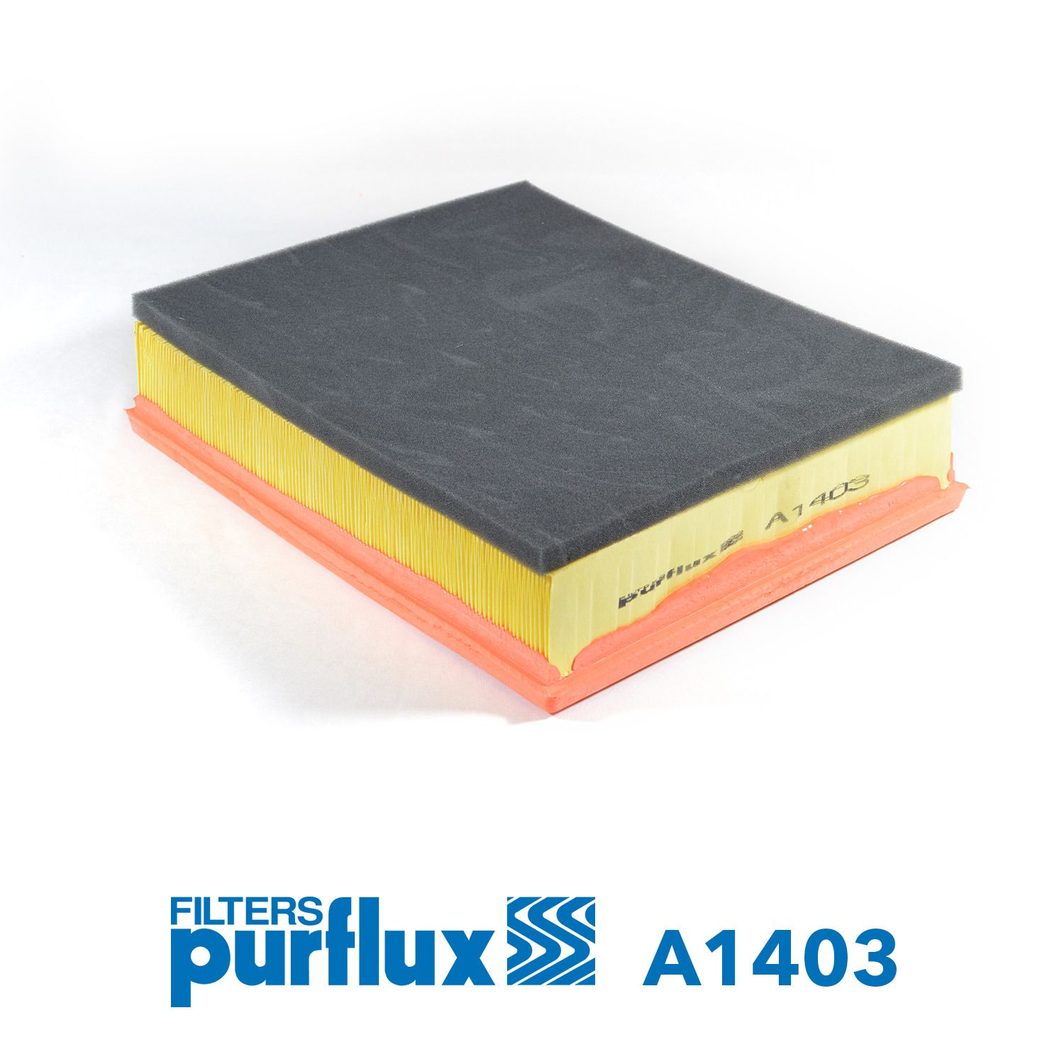 Воздушный фильтр PURFLUX A1403