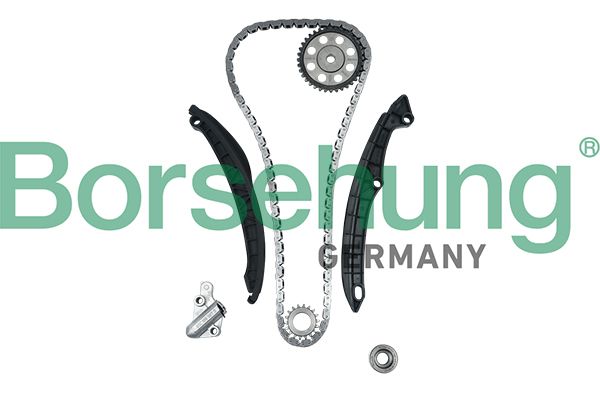 Комплект ланцюгів привода BORSEHUNG B18475 - zapix