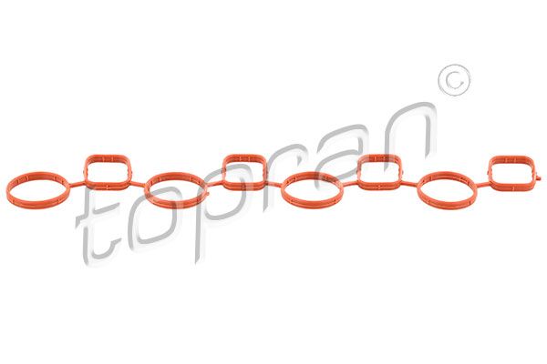 Прокладка впускного колектора TOPRAN 113887 - zapix