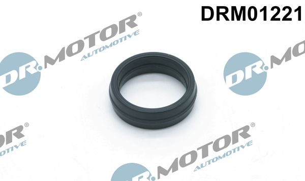 Прокладка корпуса оливного фільтра DR.MOTOR AUTOMOTIVE DRM01221 - zapix