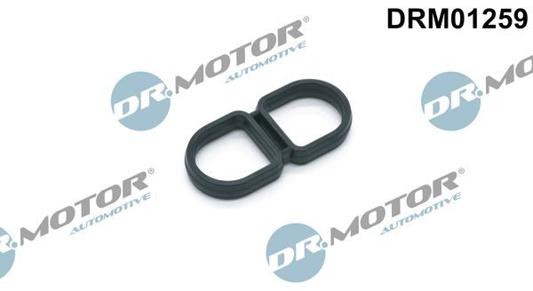 Прокладка корпуса оливного фільтра DR.MOTOR AUTOMOTIVE DRM01259 - zapix
