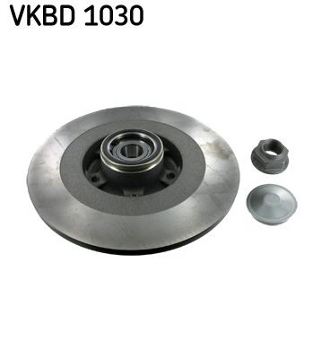 Гальмівний диск SKF VKBD1030 - zapix