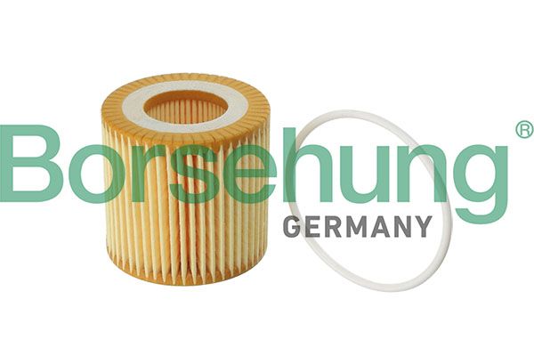 Оливний фільтр BORSEHUNG B12219 - zapix