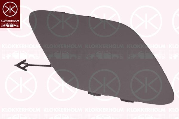 Кришка буксирувального гаку KLOKKERHOLM 5054976A1 - zapix