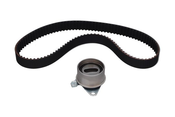 Комплект ременя ГРМ KAVO PARTS DKT5515 - zapix