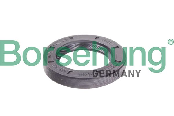 Сальник коробки передач BORSEHUNG B12191 - zapix