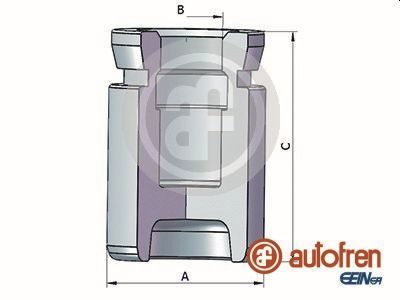 Поршень гальмівного супорта AUTOFREN SEINSA D025333 - zapix