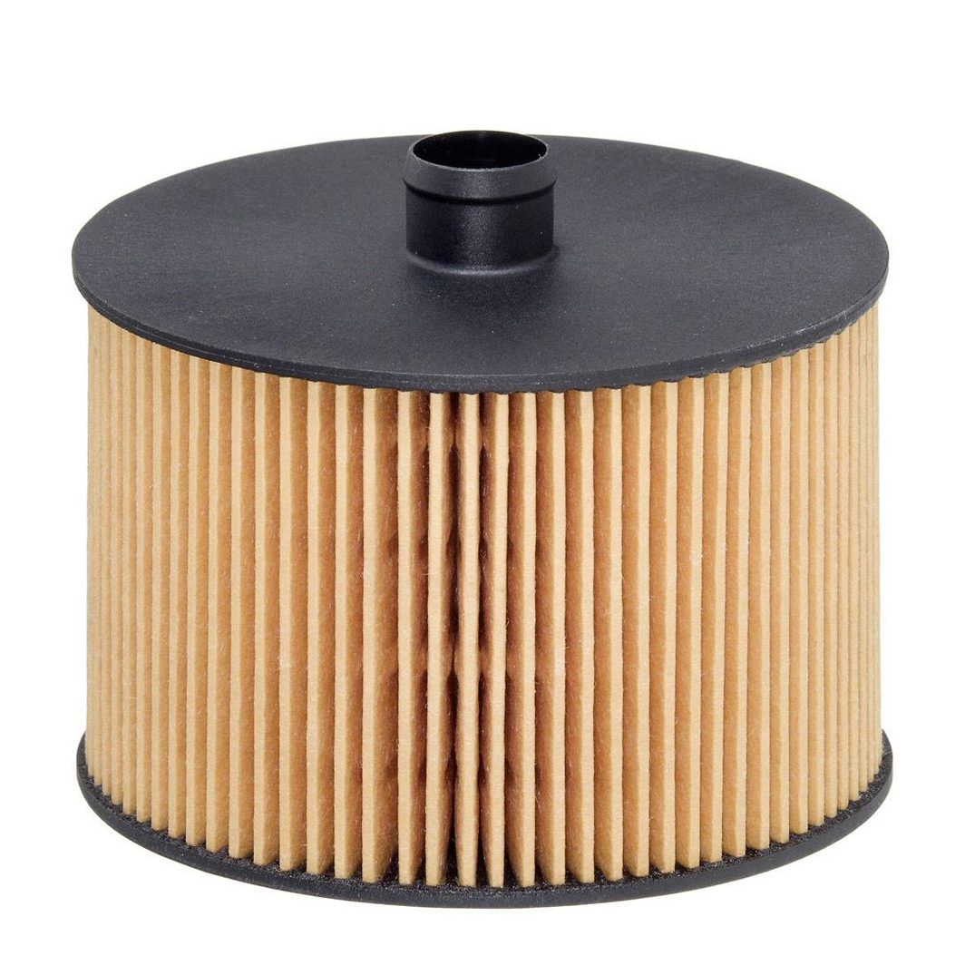 Паливний фільтр HENGST FILTER E79KPD118 - zapix