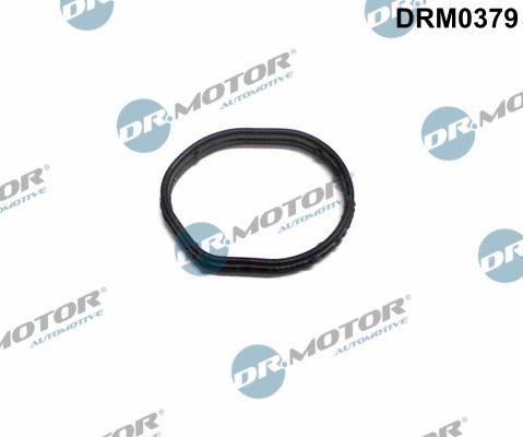 Прокладка передней крышки двигателя DR.MOTOR AUTOMOTIVE DRM0379