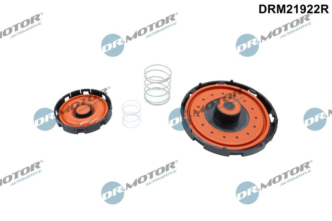 Мембрана клапана вентиляції картера DR.MOTOR AUTOMOTIVE DRM21922R - zapix