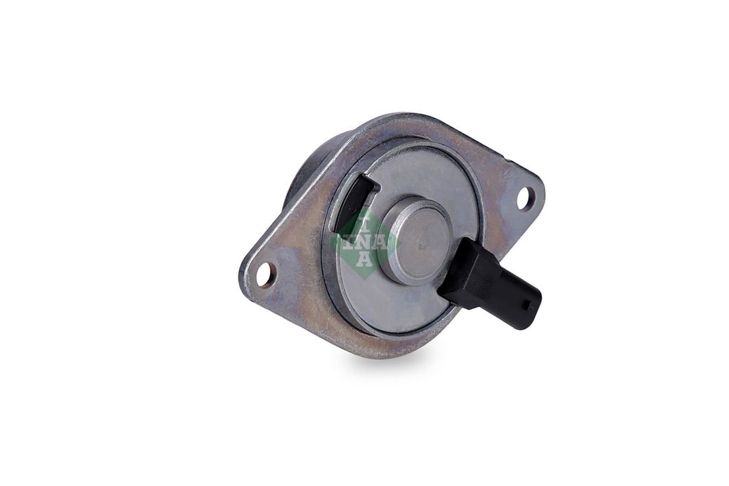 Клапан регулятор фаз газорозподілу SCHAEFFLER INA 427001810 - zapix