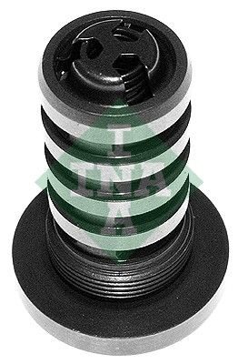 Клапан регулятор фаз газорозподілу SCHAEFFLER INA 427000510 - zapix