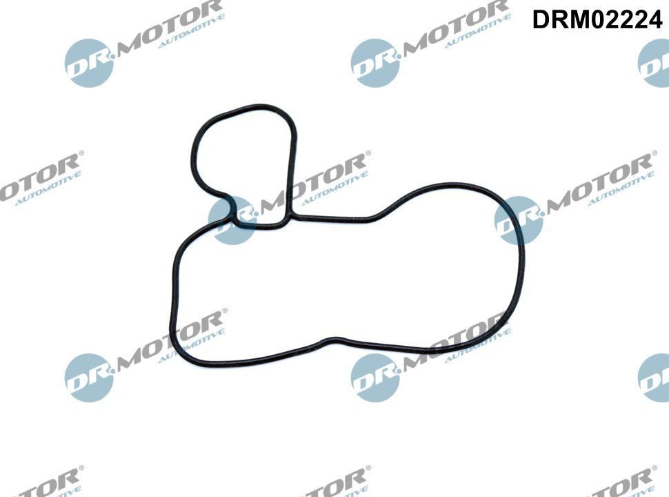 Прокладка оливного насоса DR.MOTOR AUTOMOTIVE DRM02224 - zapix