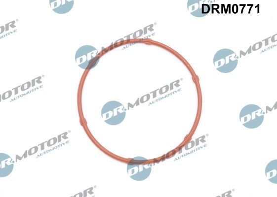 Прокладка оливного насоса DR.MOTOR AUTOMOTIVE DRM0771 - zapix
