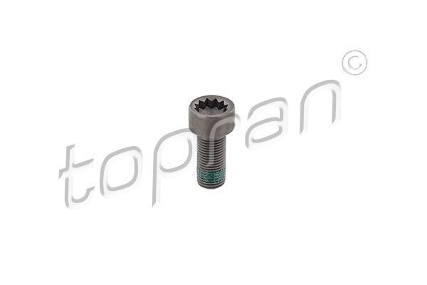 Болти кріплення маховика TOPRAN 117243 - zapix