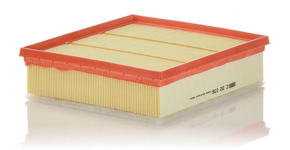 Повітряний фільтр MANN-FILTER C22039 - zapix