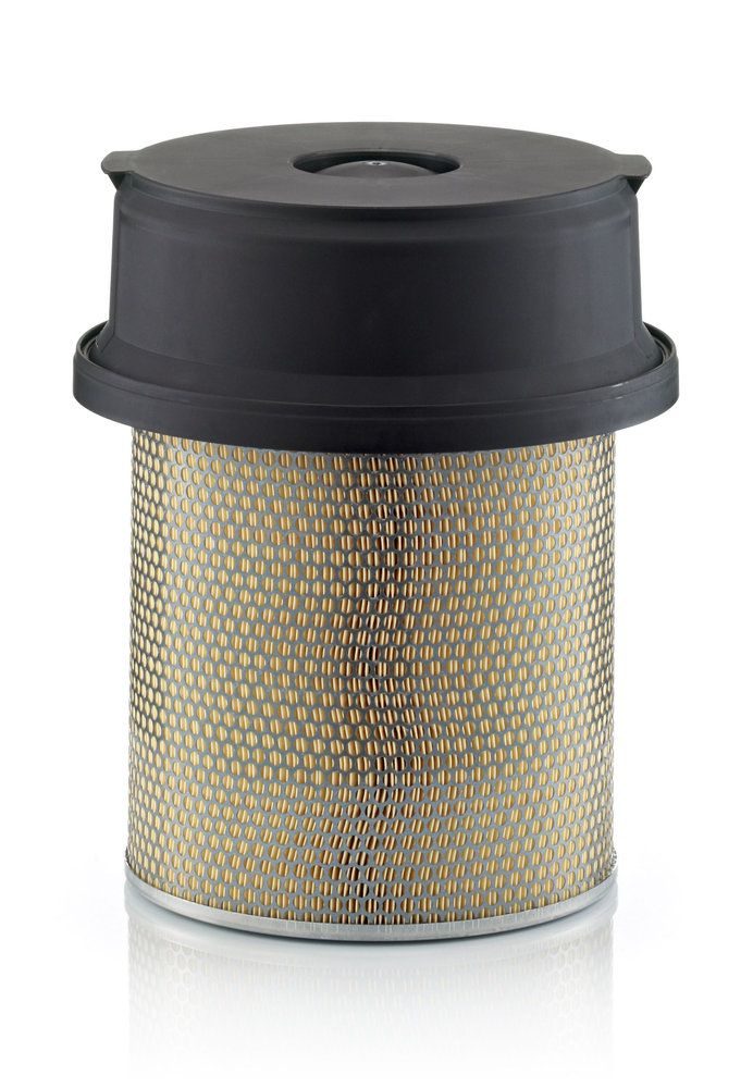 Повітряний фільтр MANN-FILTER C2912191 - zapix