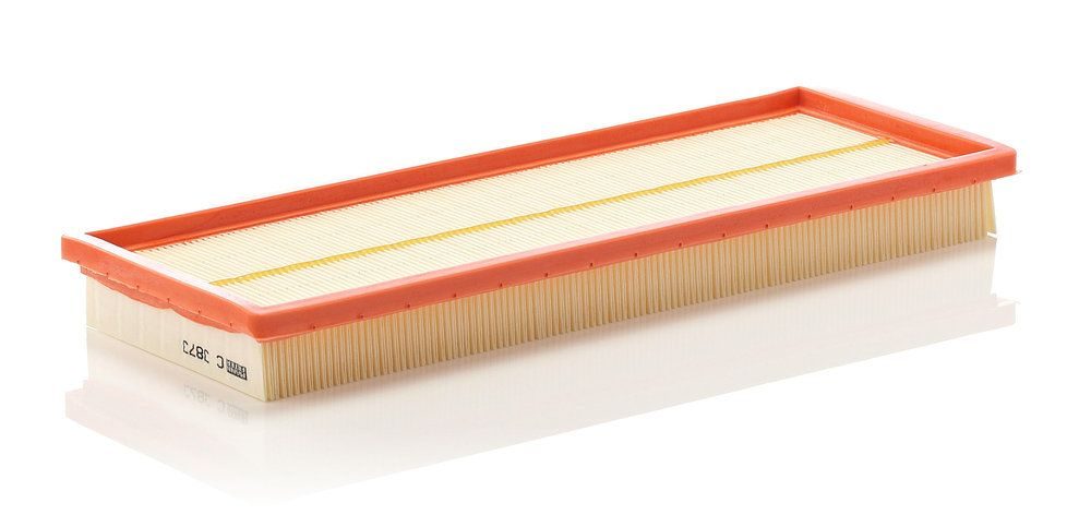 Повітряний фільтр MANN-FILTER C3873 - zapix