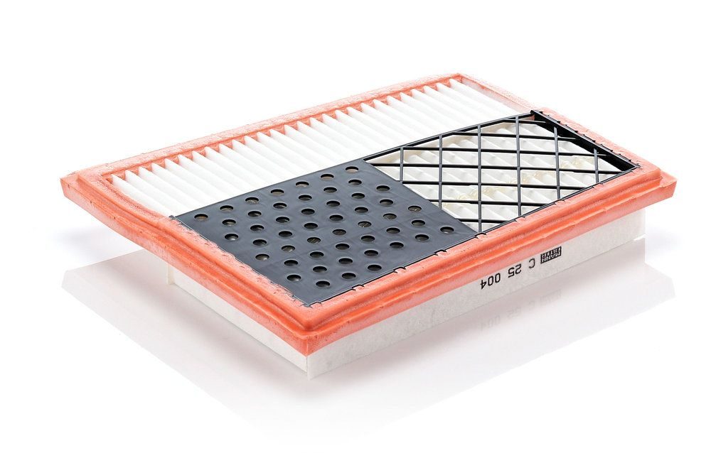 Повітряний фільтр MANN-FILTER C25004 - zapix