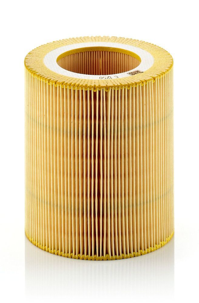 Повітряний фільтр MANN-FILTER C1250 - zapix