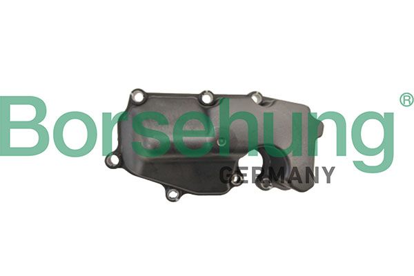 Клапан вентиляції картера (сепаратор оливи) BORSEHUNG B11923 - zapix