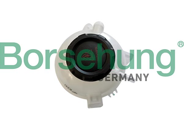 Розширювальний бачок BORSEHUNG B11942 - zapix