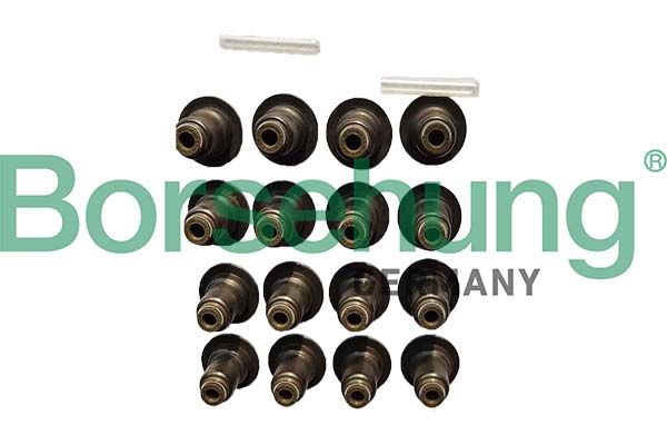 Сальник клапана BORSEHUNG B12506 - zapix