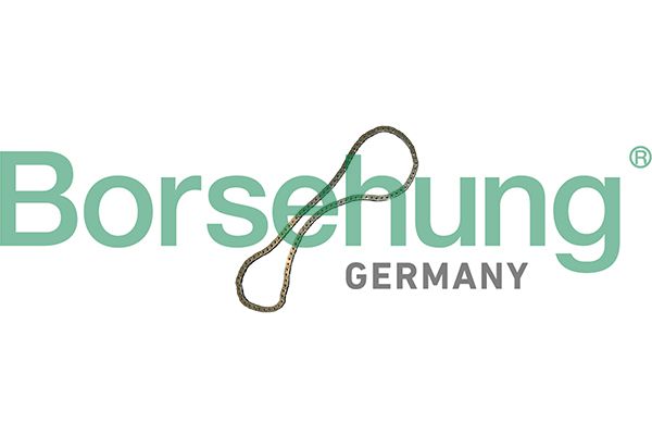 Ланцюг привода BORSEHUNG B12769 - zapix