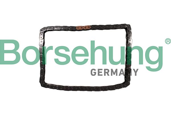 Ланцюг привода BORSEHUNG B12784 - zapix