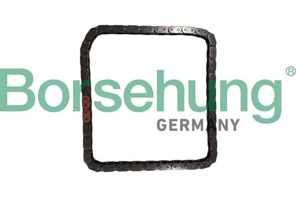 Ланцюг привода BORSEHUNG B12785 - zapix