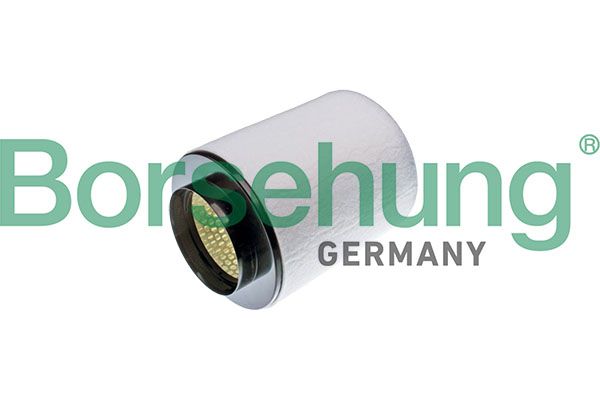 Повітряний фільтр BORSEHUNG B12904 - zapix