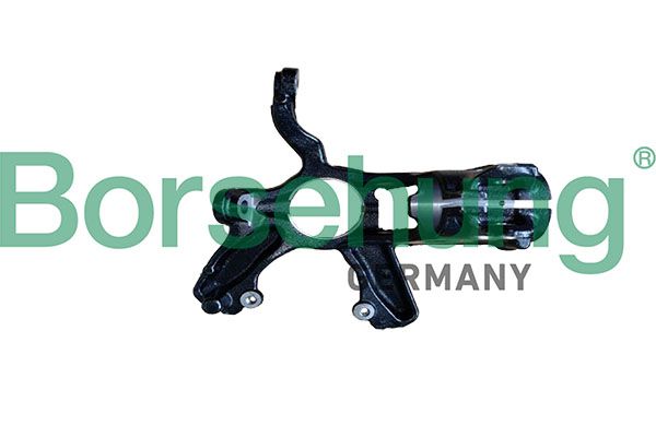 Поворотний кулак BORSEHUNG B12923 - zapix