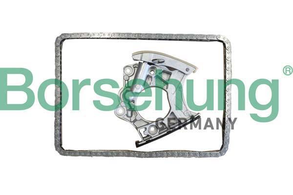 Комплект ланцюгів привода BORSEHUNG B10244 - zapix