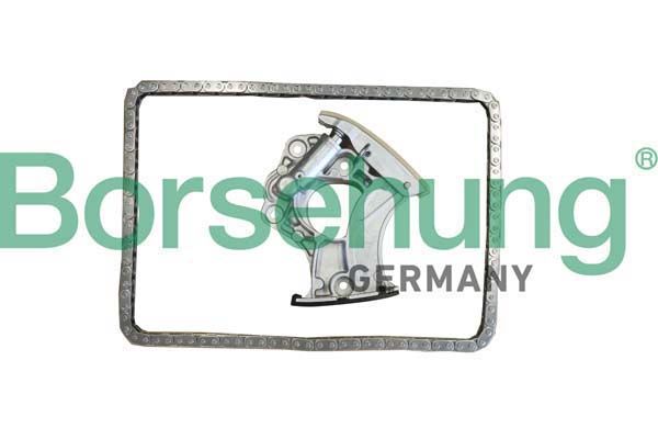 Комплект ланцюгів привода BORSEHUNG B10245 - zapix