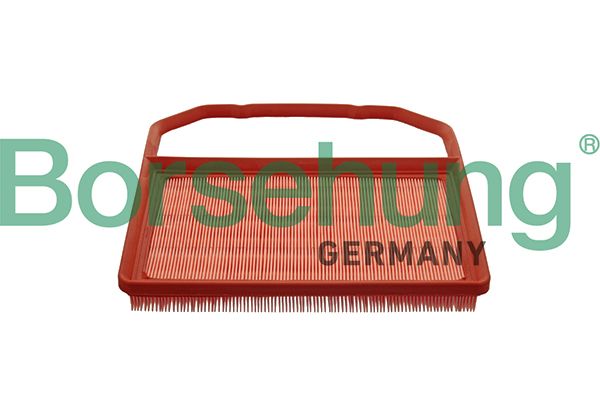 Повітряний фільтр BORSEHUNG B10538 - zapix