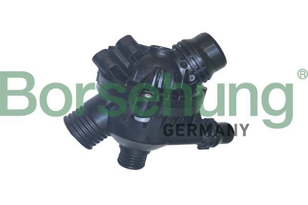 Термостат BORSEHUNG B10552 - zapix
