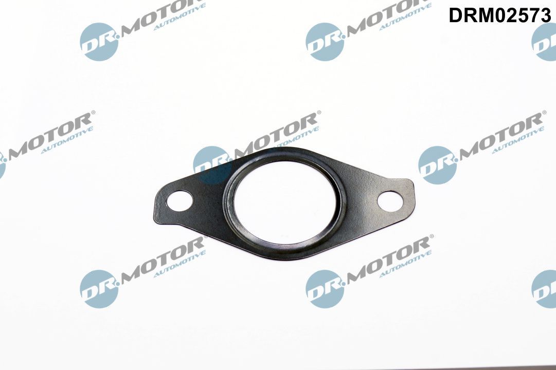 Прокладка термостата DR.MOTOR AUTOMOTIVE DRM02573 - zapix