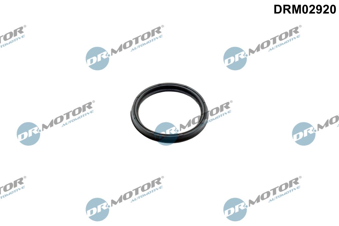 Прокладка патрубка інтеркулера DR.MOTOR AUTOMOTIVE DRM02920 - zapix