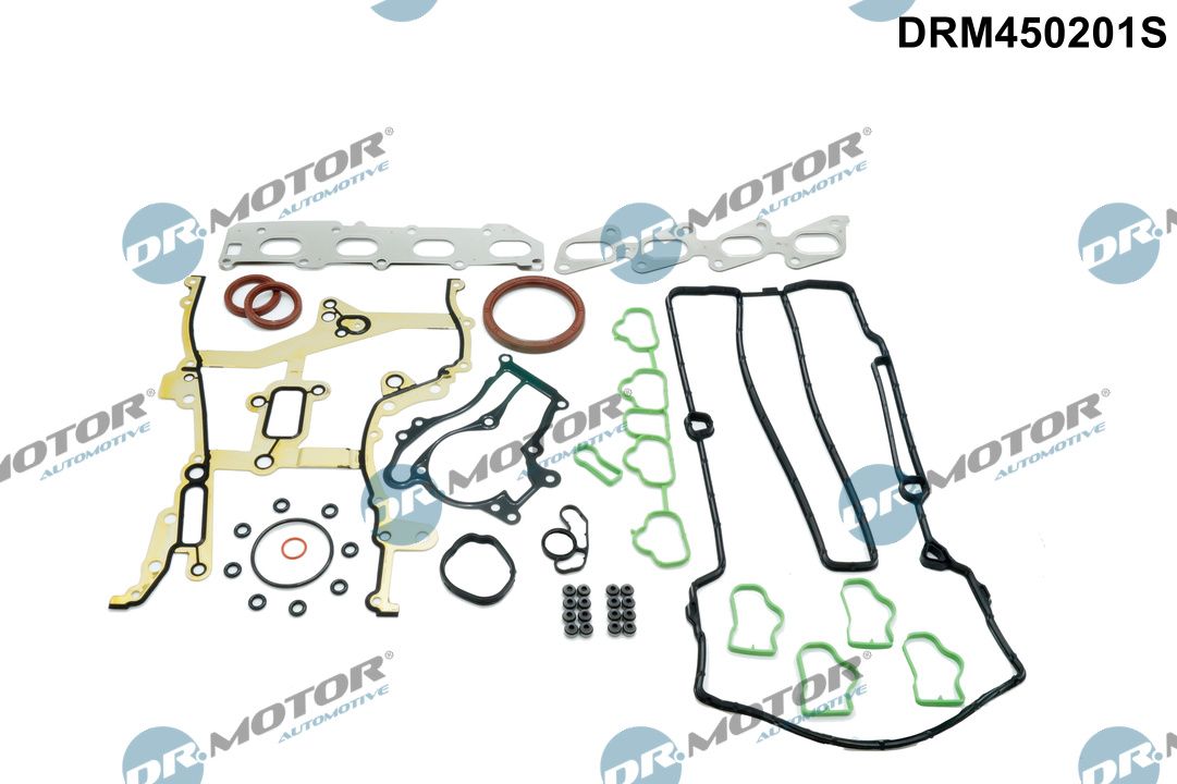 Комплект прокладок двигуна DR.MOTOR AUTOMOTIVE DRM450201S - zapix
