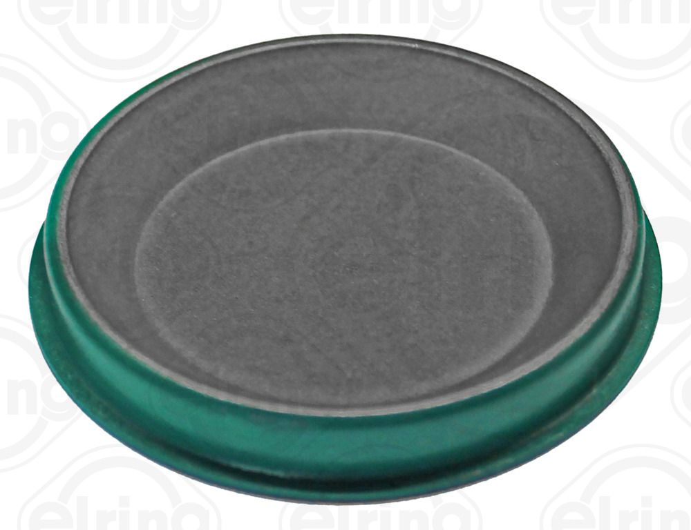 Заглушка ГБЦ ELRING B16450 - zapix